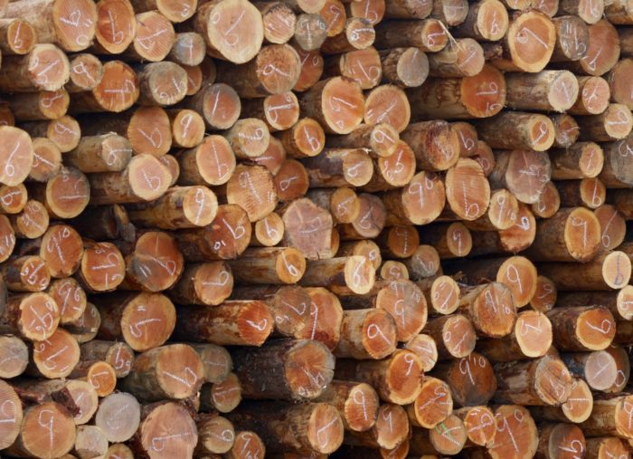 Logs